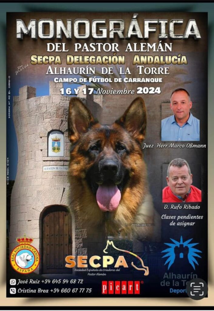 Secpa Sticker Monográfica Andalucía. Wessentest, Ad, y Korung. – Sociedad Española de ...